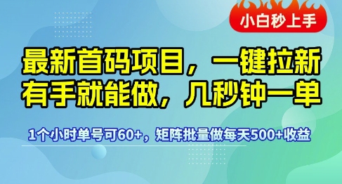 最新首码项目，一键拉新有手就能做，几秒钟一单，1个小时单号可60+，矩阵批量做每天5张【揭秘】-大叔网创联盟