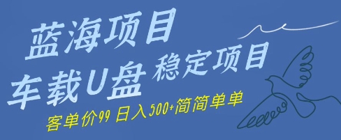 蓝海项目车载U盘稳定项目，挣的就是信息差，客单价99，日入几张简简单单-大叔网创联盟
