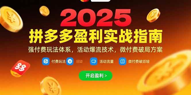 （15357期）拼多多盈利实战指南，强付费玩法，活动爆流技术，微付费破局方案(更新7月)-大叔网创联盟