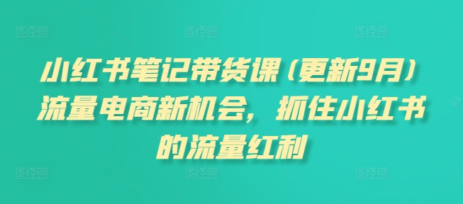 小红书笔记带货课(更新25年6月)流量电商新机会，抓住小红书的流量红利-大叔网创联盟