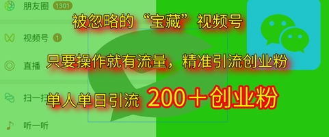 被忽略的“宝藏”视频号引流精准创业粉单人单日引流200+精准粉-大叔网创联盟