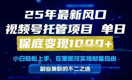 25年最新风口，视频号托管项目，单日保底变现1k+，手把手教学【揭秘】-大叔网创联盟