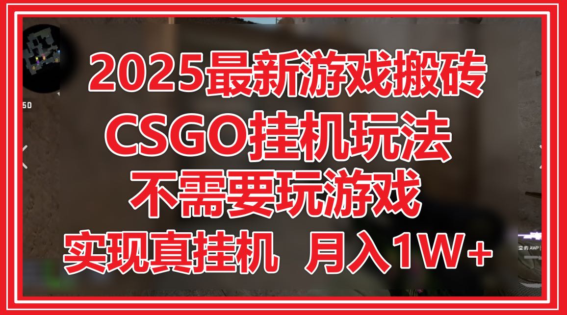 （14743期）2025最新游戏搬砖，CSGO挂机，不需要玩游戏，实现真挂机，月入1W+-大叔网创联盟