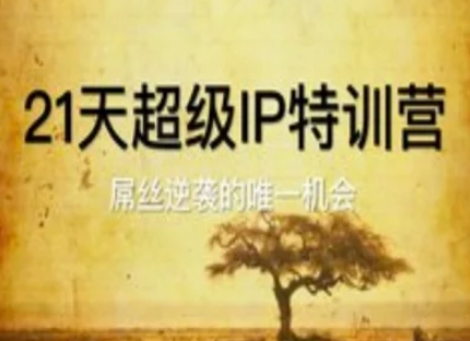 21天超级IP特训营，屌丝逆袭的唯一机会-大叔网创联盟